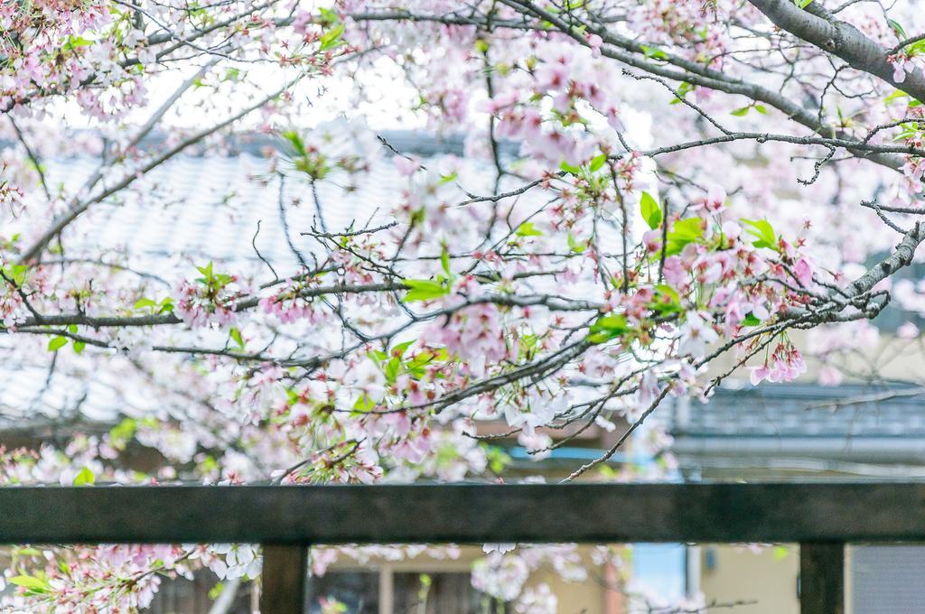 Kumomachiya Takasegawa Villa Kyoto Exteriör bild