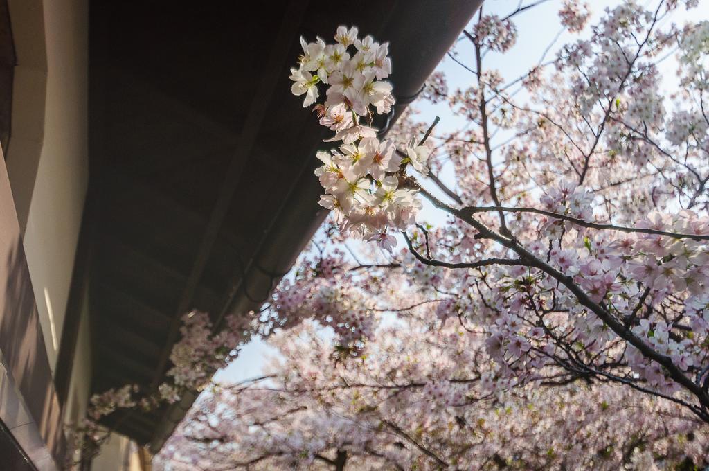 Kumomachiya Takasegawa Villa Kyoto Exteriör bild